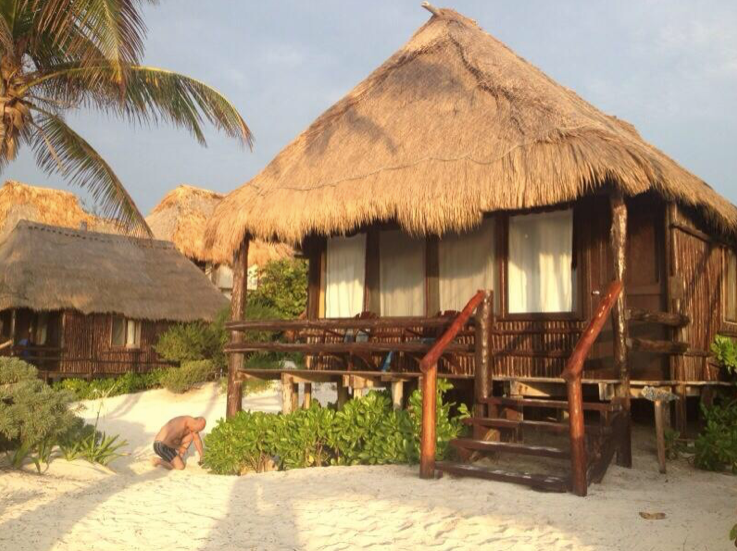 🐢 Las tortugas de Tulum 🐢