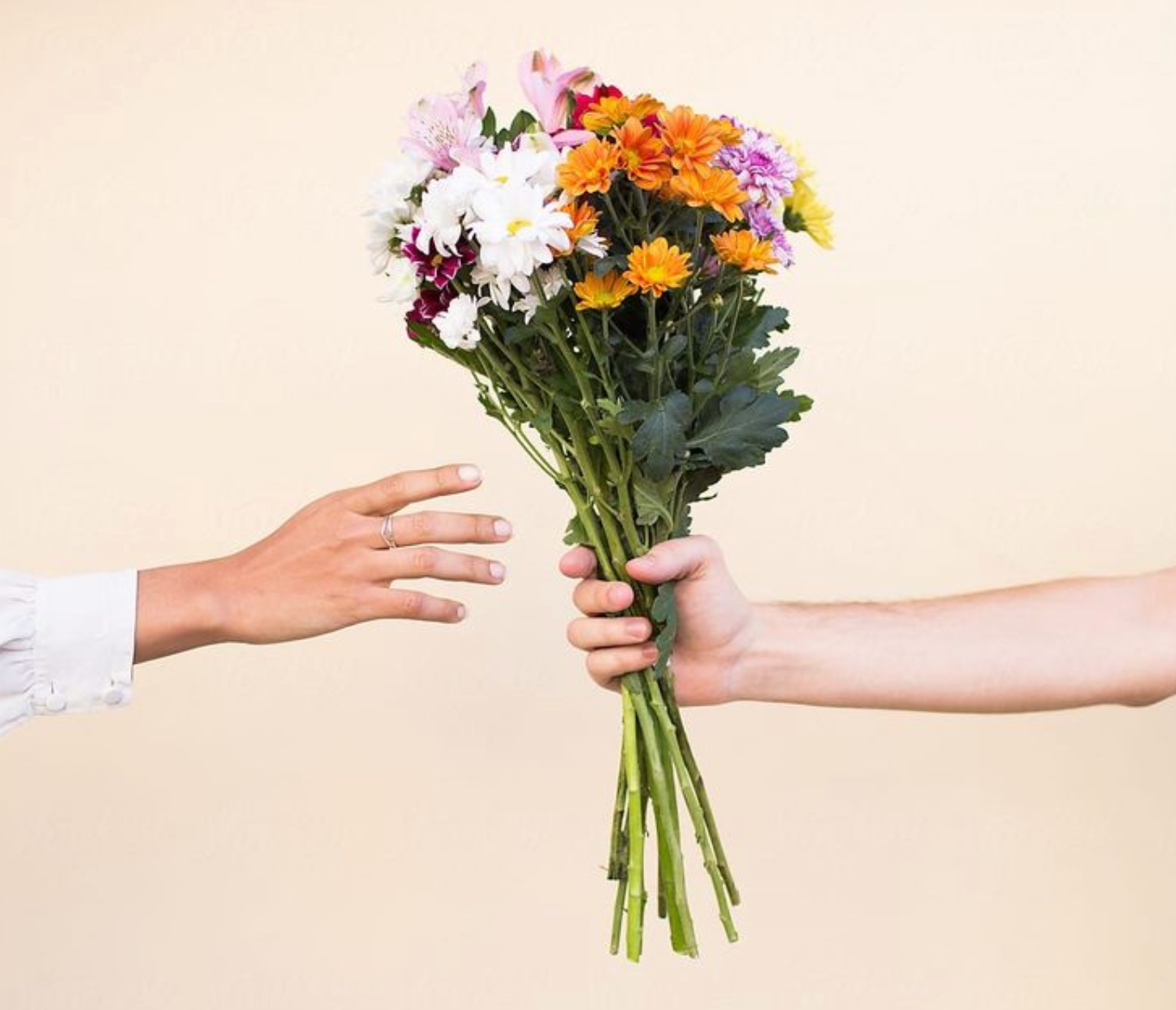 🛍️ Podrías tener el detalle 🛍️