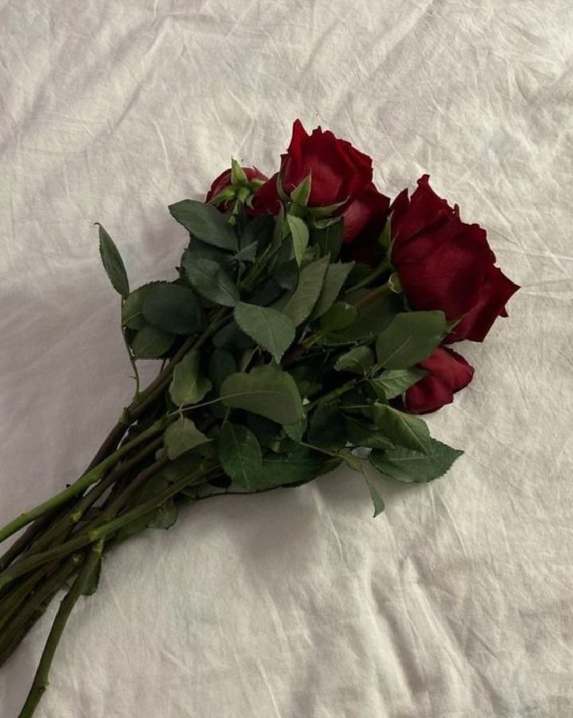 🌹 ¿A QUÉ HUELE OHANA? 🌹