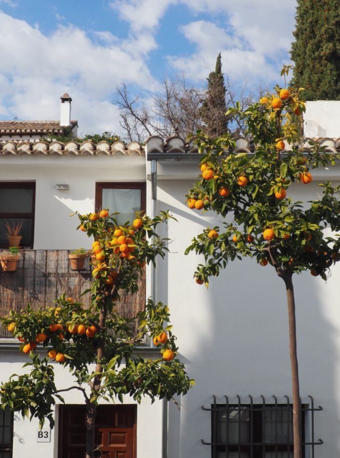 🥺 ¿Cómo te gusta que te traten? 🥺