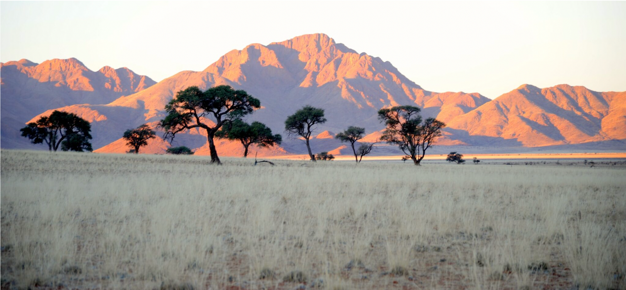 🐘Veo África desde mi terraza 🐘