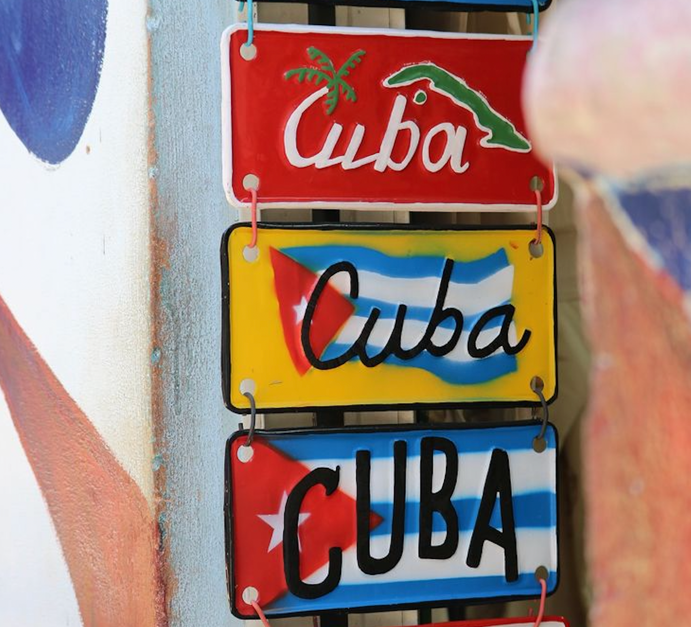 🌴 Mi madre y el jardinero cubano 🌴