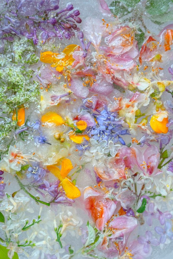 🎉 Lo importante es la vida 🎉