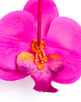 Pendientes orquídeas con cristal y seda