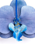 Pendientes orquídeas con cristal y seda